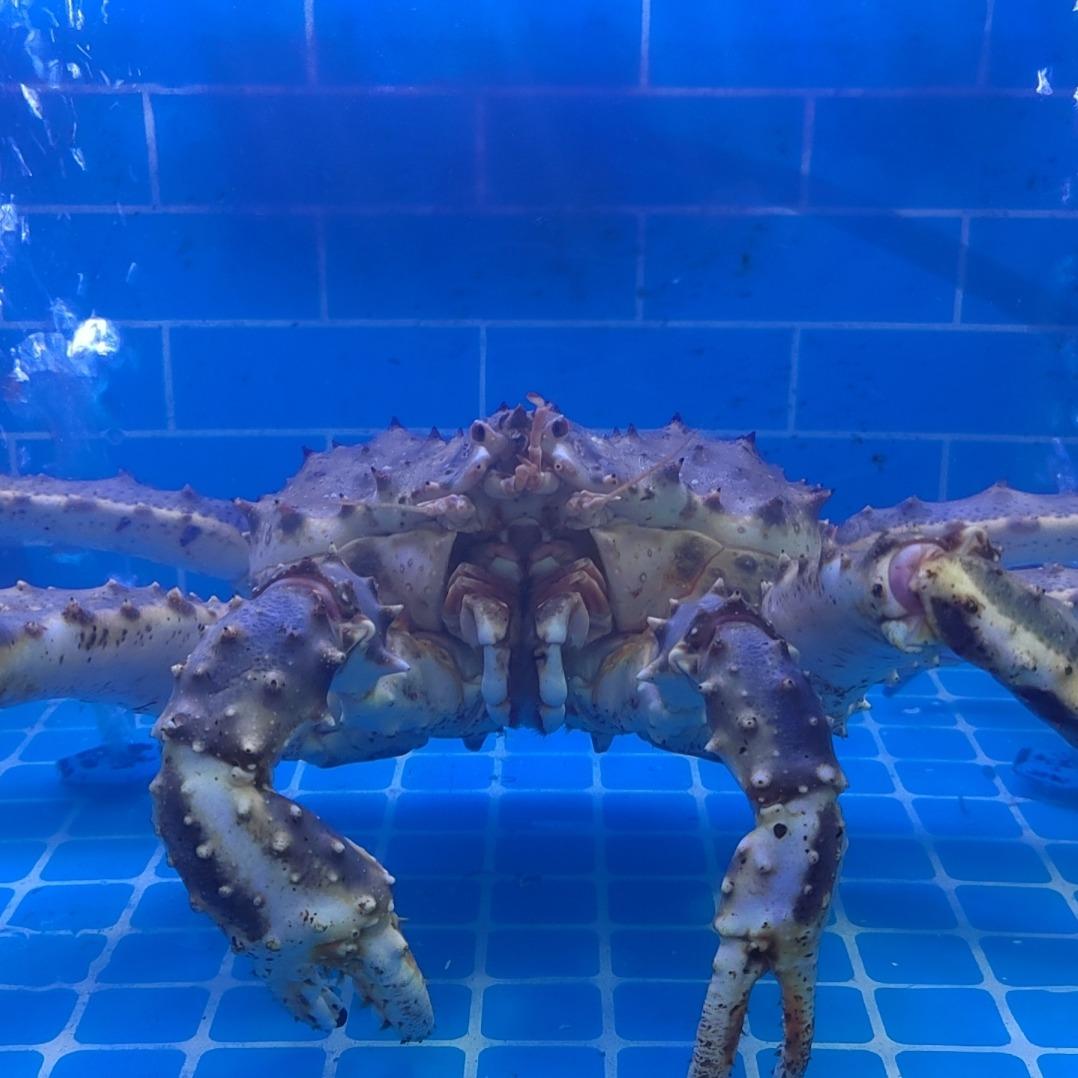 大运海鲜居（蒸汽海鲜）