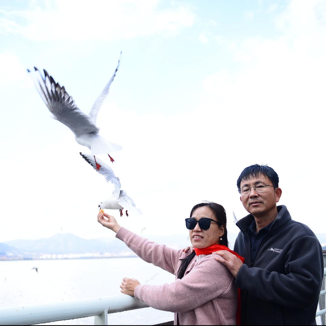 靳双进绿驰农产臻选阁
