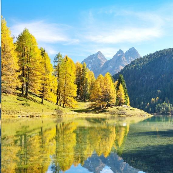 利民五金百货玫瑰的直播号