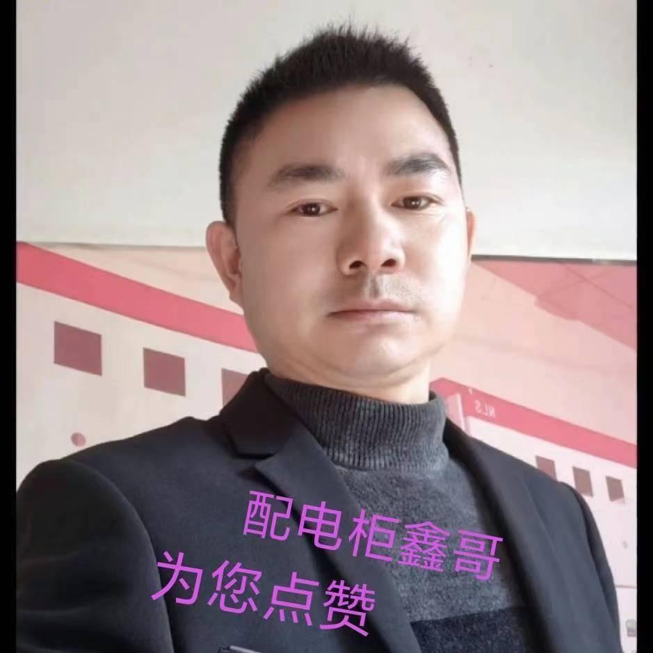配电箱柜鑫哥