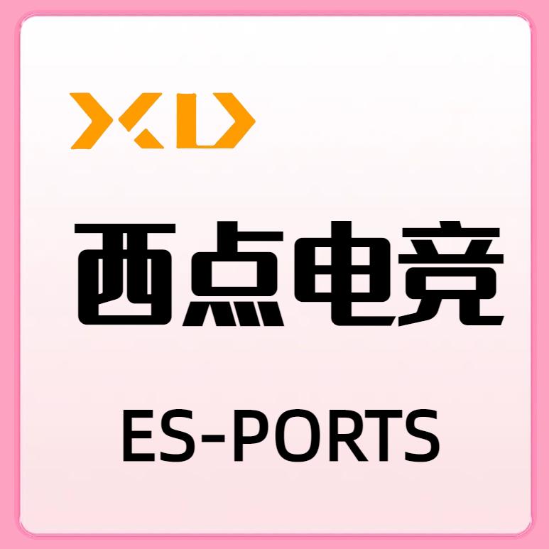 西点电竞