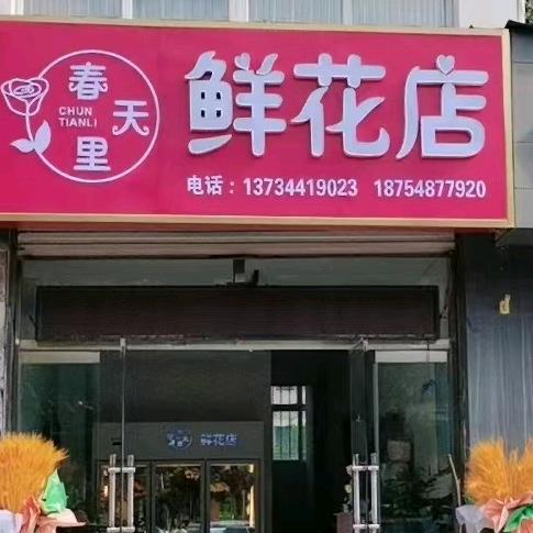 肥城市春天里鲜花店