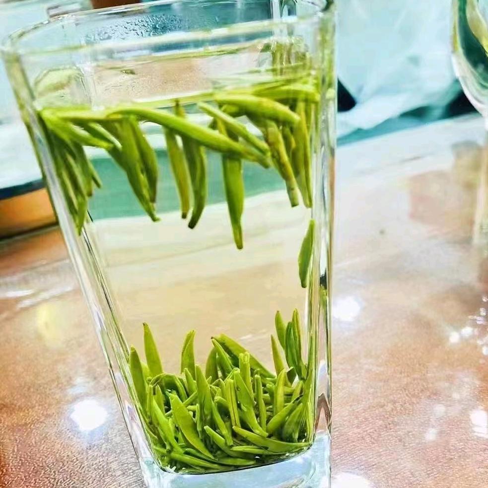 老虎🐯