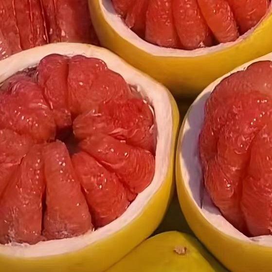 书兰商贸小肖