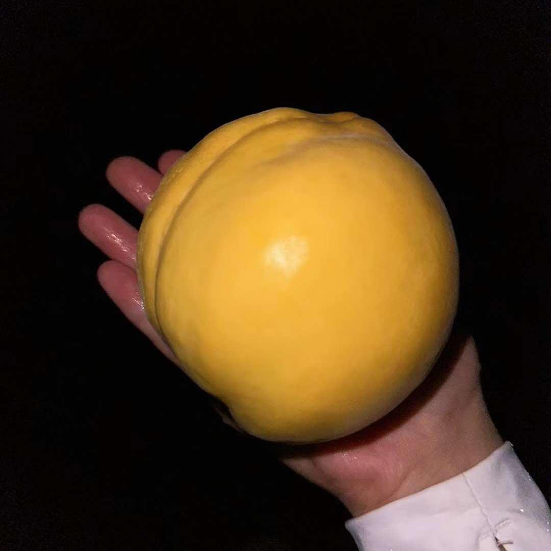 永康市枫廷水果种植园