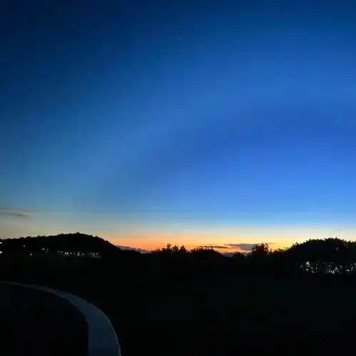 沙巴克秋菊直播号