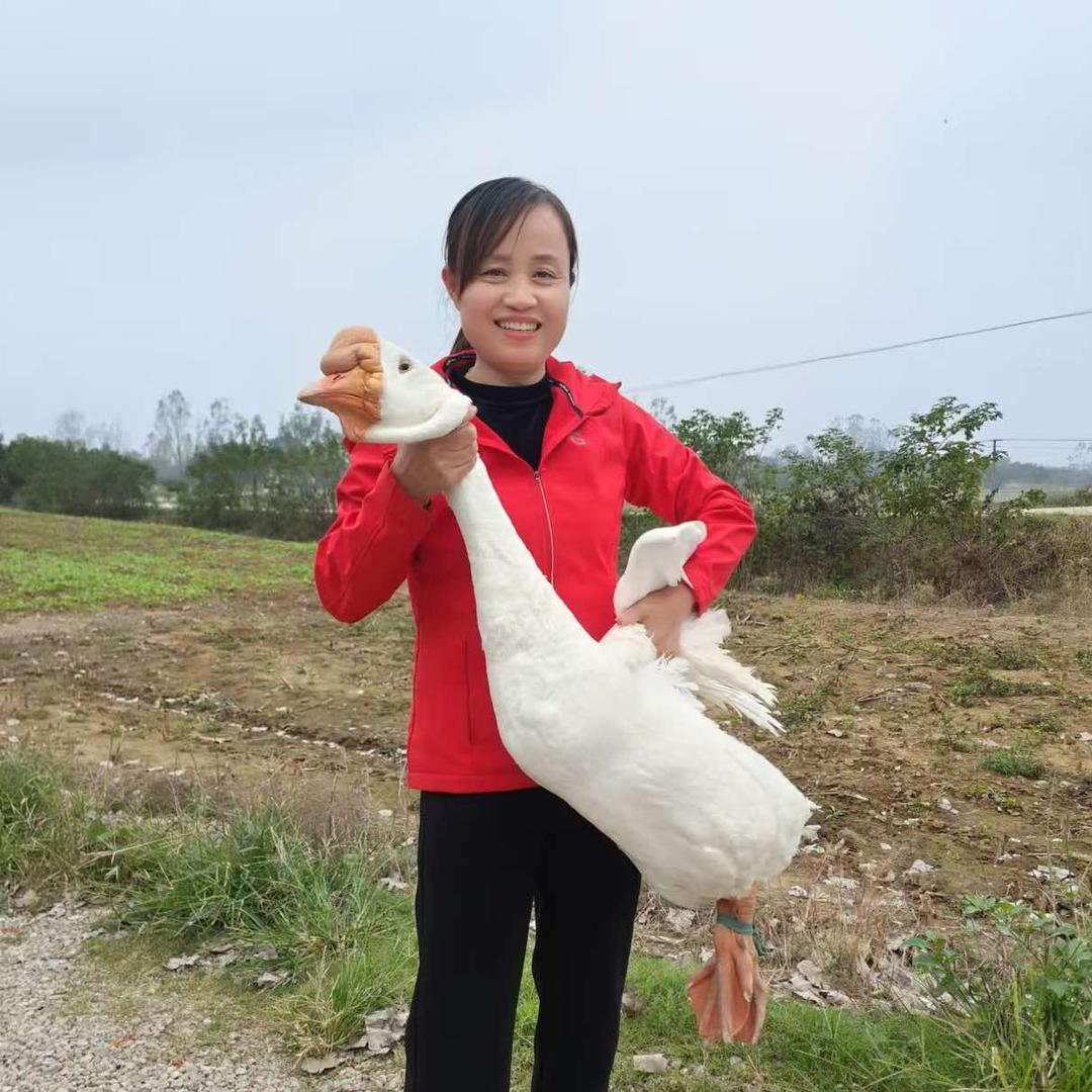 合肥庐月雅宴王姐