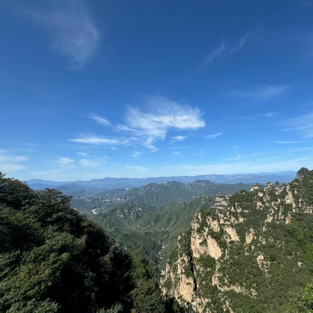 环游超市(芊域阳光北区店)12宠粉号