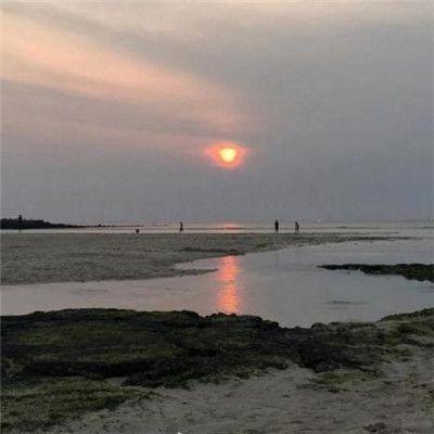 棘途行·淞宣洛