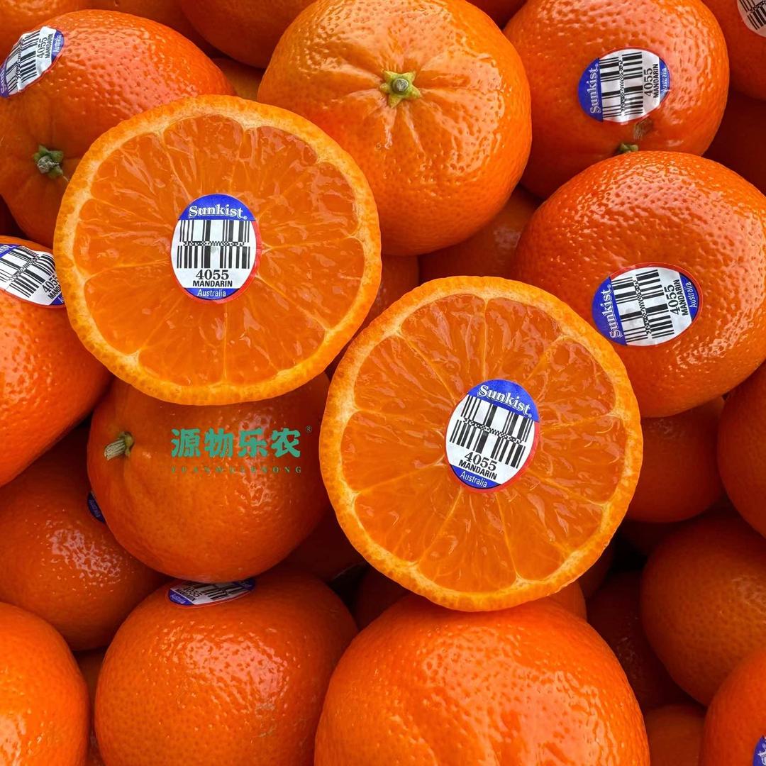 果然甜🍊