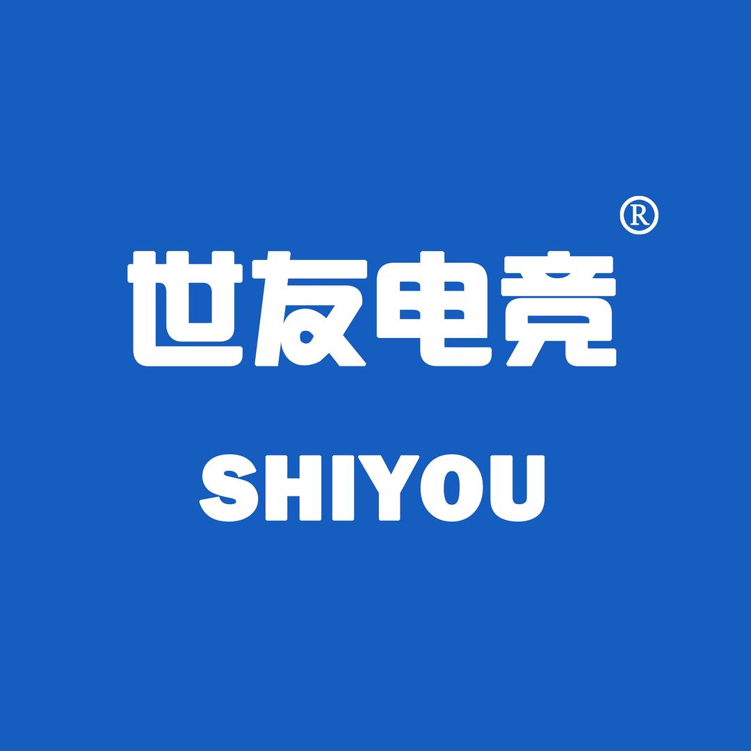 世友电竞(神龙浩宇店)