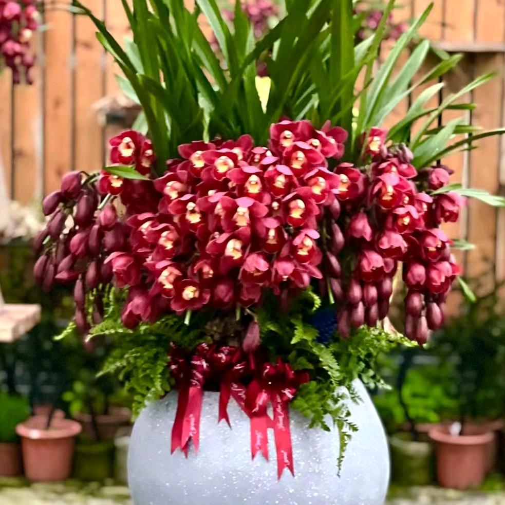 平度市李园群芳花卉经销处