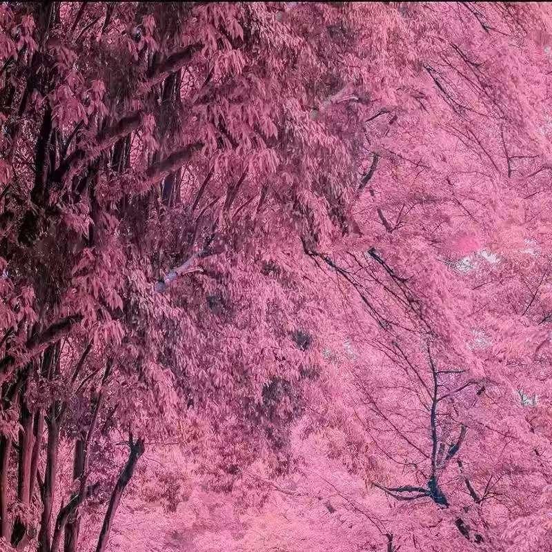 李沧区意高姊妹服装店