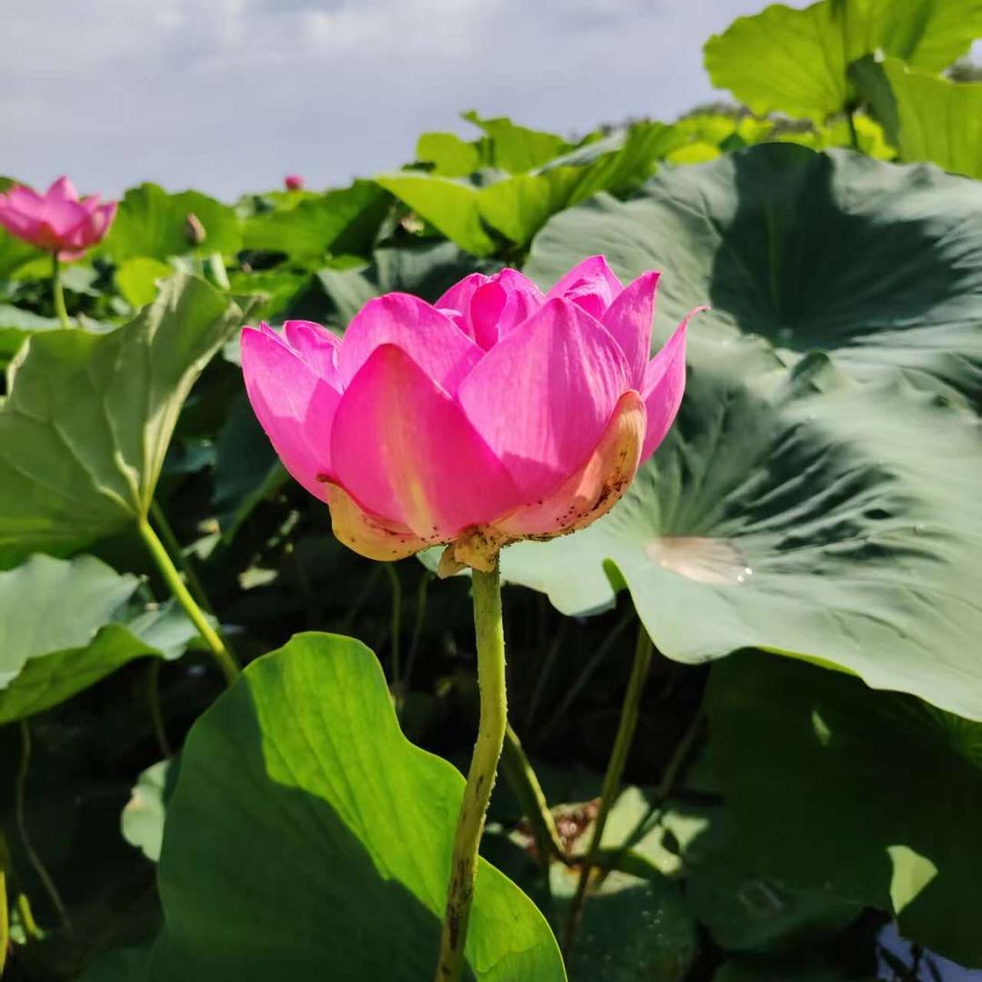 时光洪流