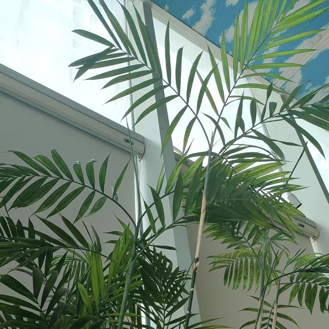 何莱通餐饮管理直播号