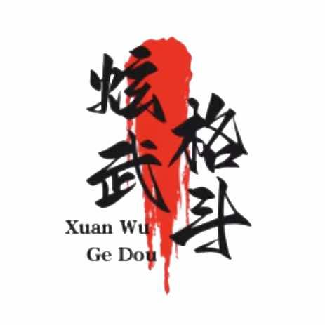 江川炫武格斗.空翻