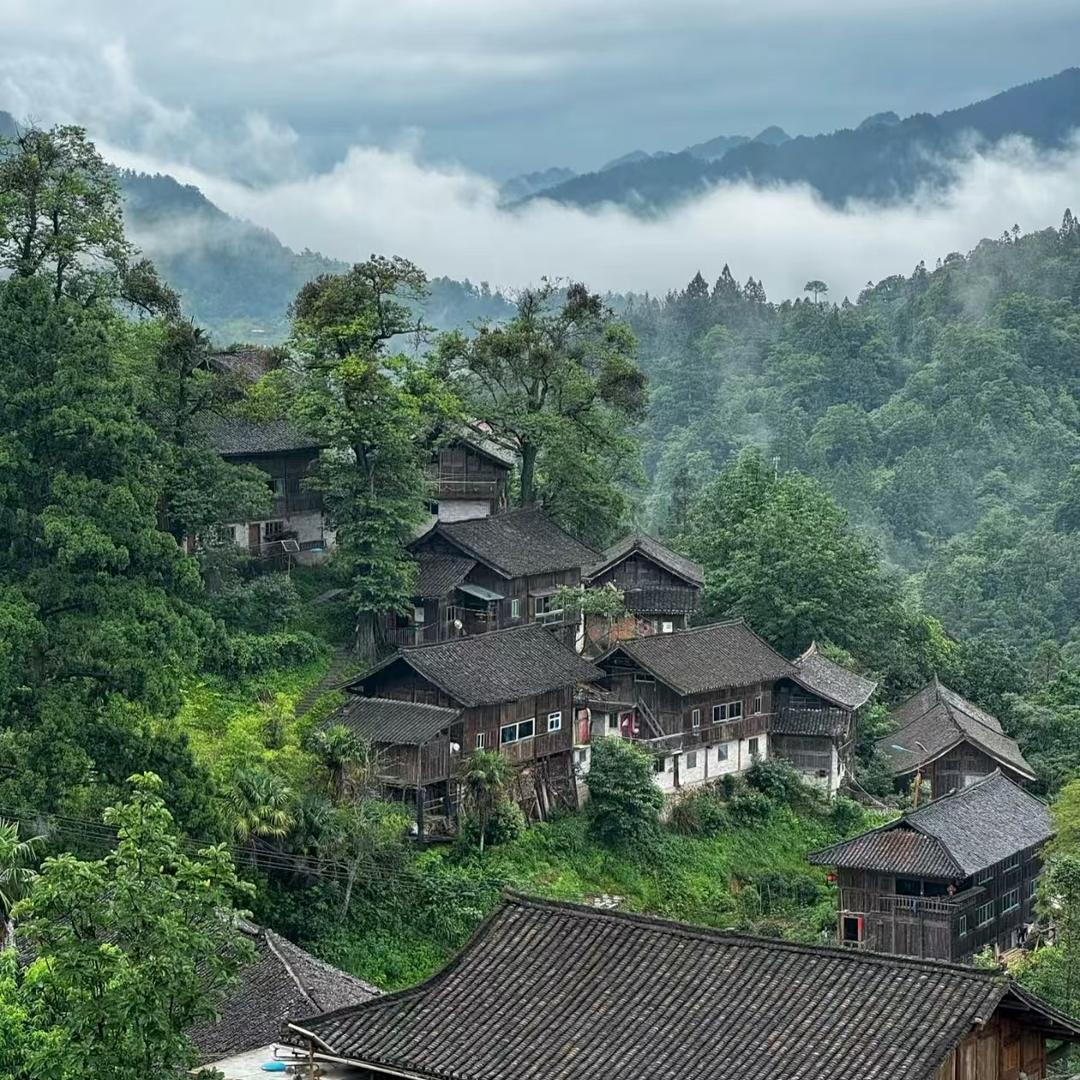 迅创通科技媒体