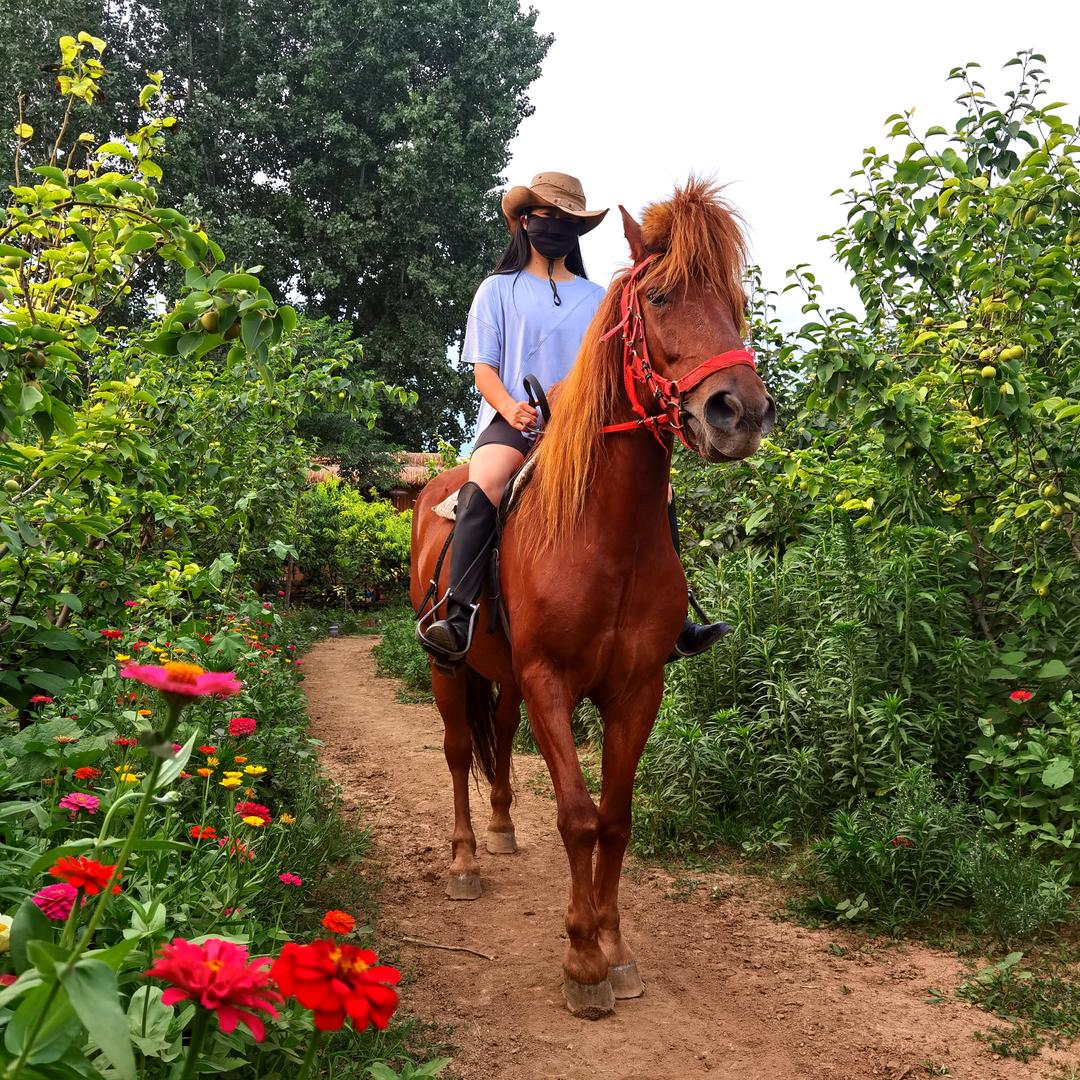 洛阳新豆丁农庄