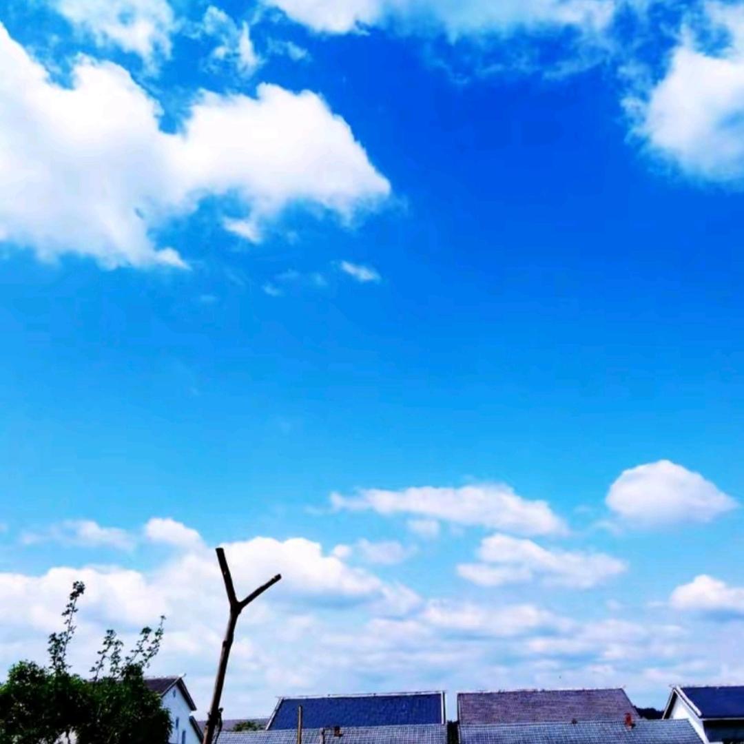 达科德管理三号