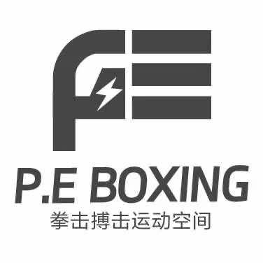PE搏击运动空间