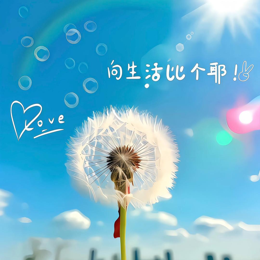 新艺飞直播号