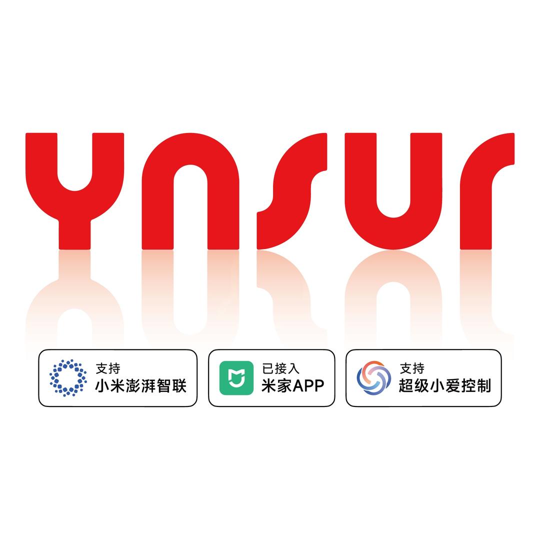泗洪因硕智能锁米家生态直营店