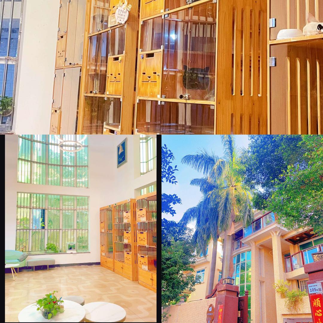 喵语猫舍官方号