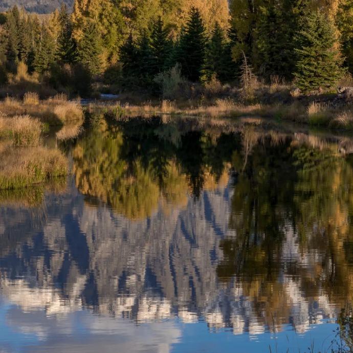 许系传媒直播号