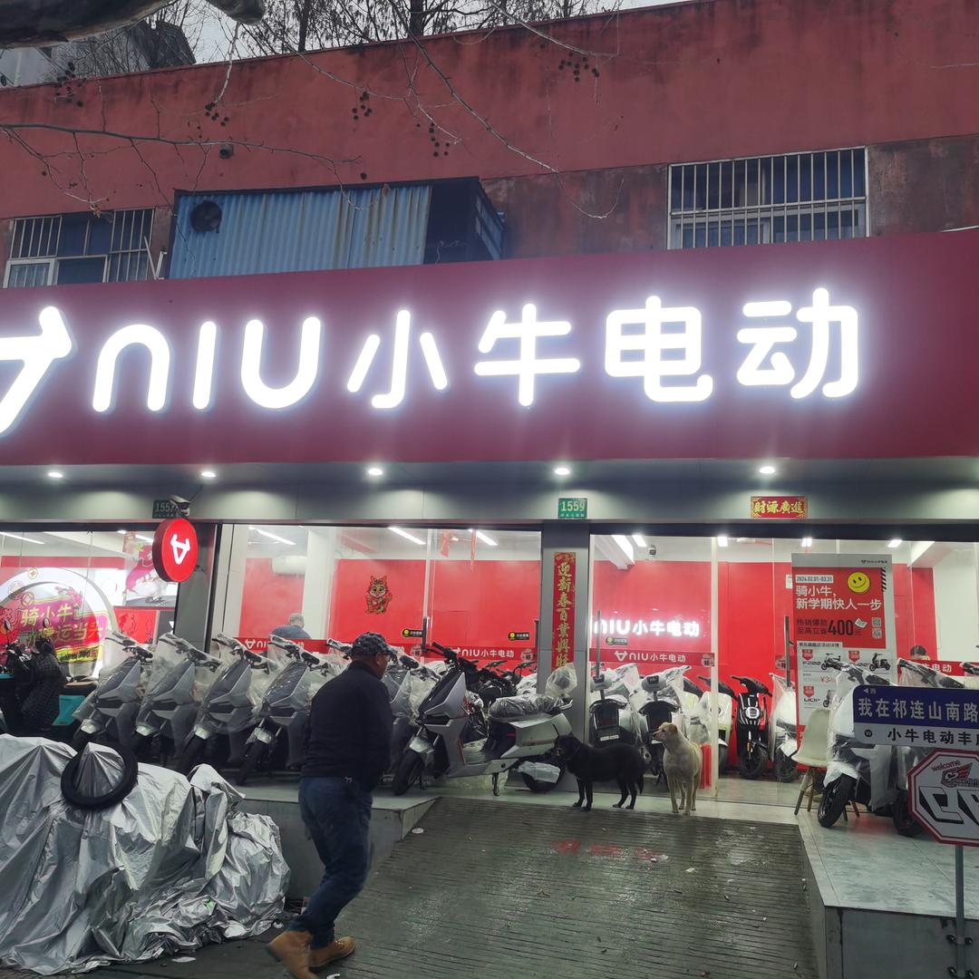 小牛电动祁连山南路丰庄店