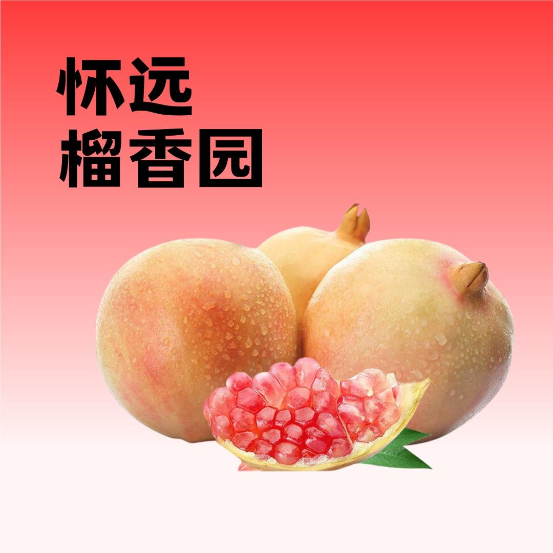 阿苗【榴香园】