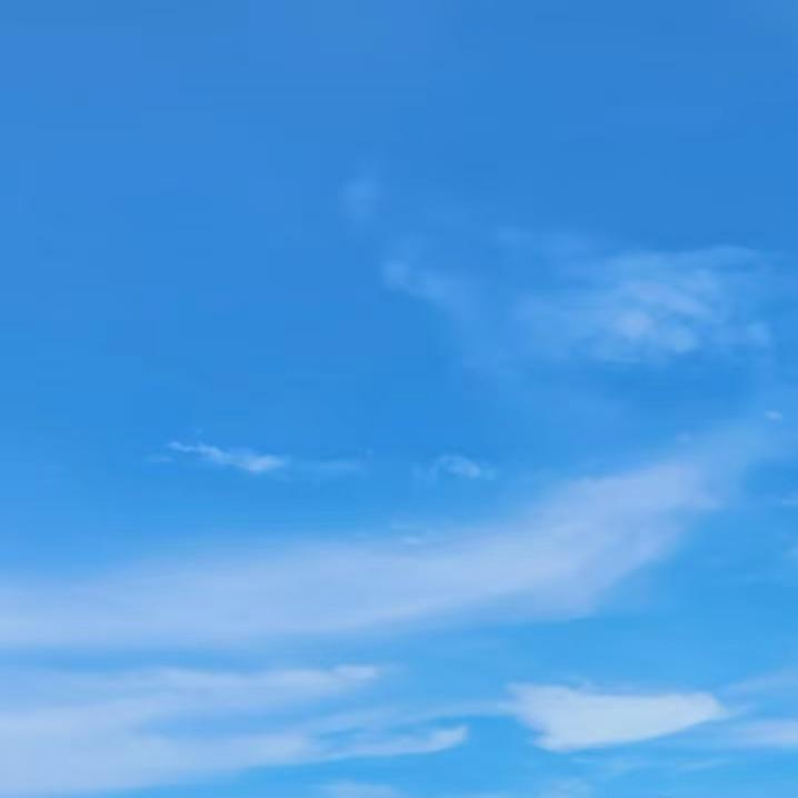 蒲导运营号