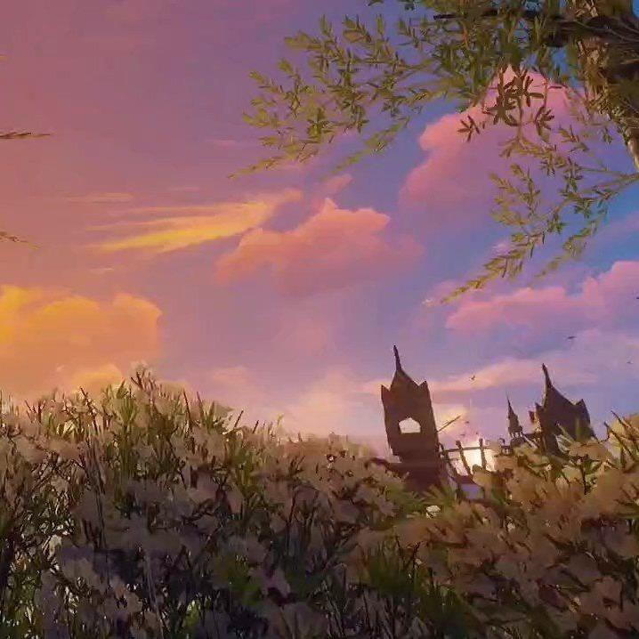 疯子的梦想直播号