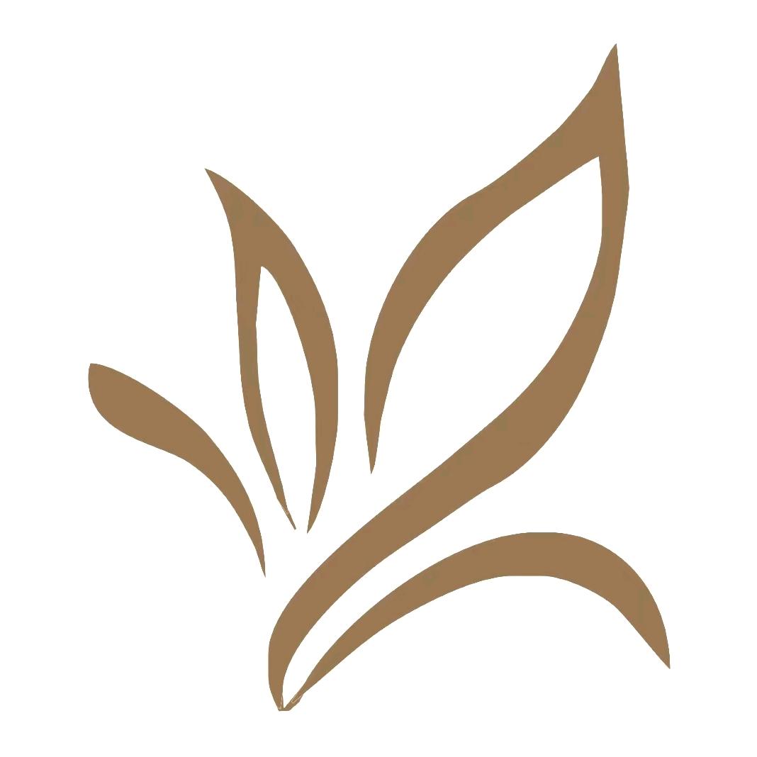 艾嘉健康管理（匠佗堂科技养生）