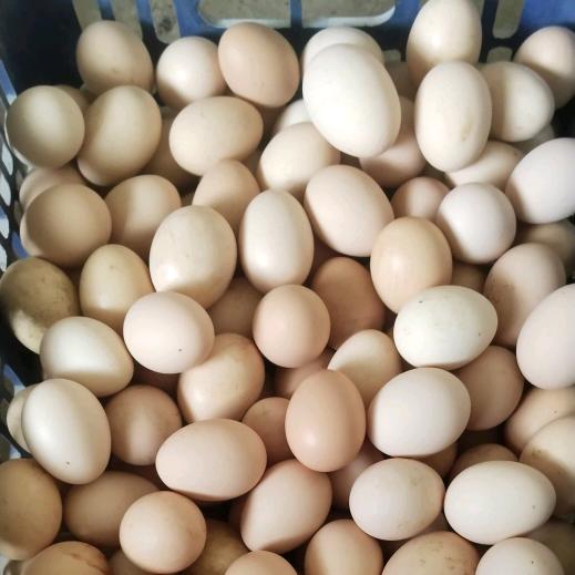 小常原乡土味蛋坊官方号