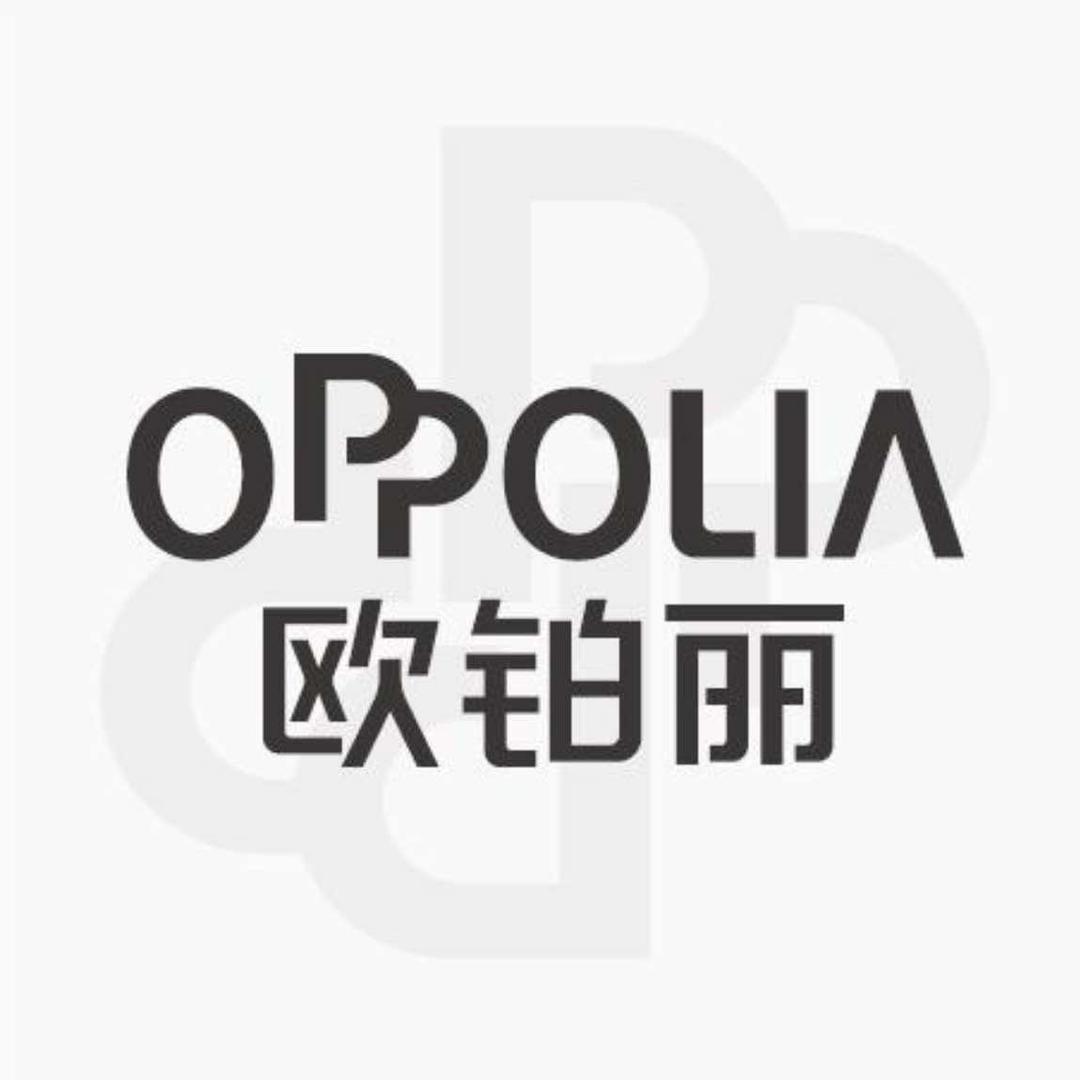 欧铂丽轻奢全案定制（自贡川南店）
