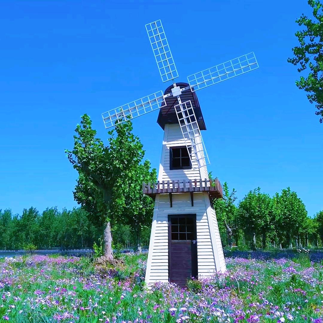 喝水长大的鱼爱上鲍老湖