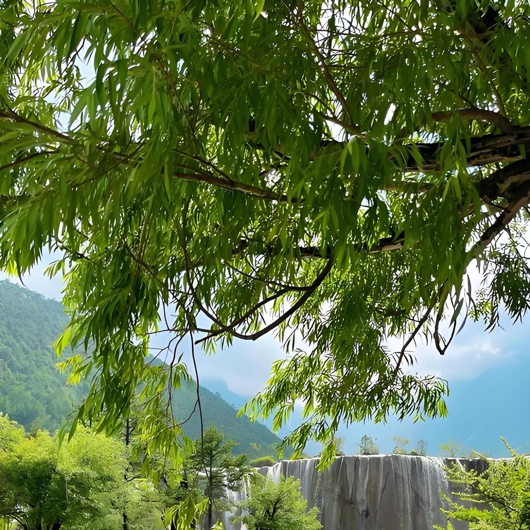 永田五金灯饰卫浴广州毫苗yughj直播号