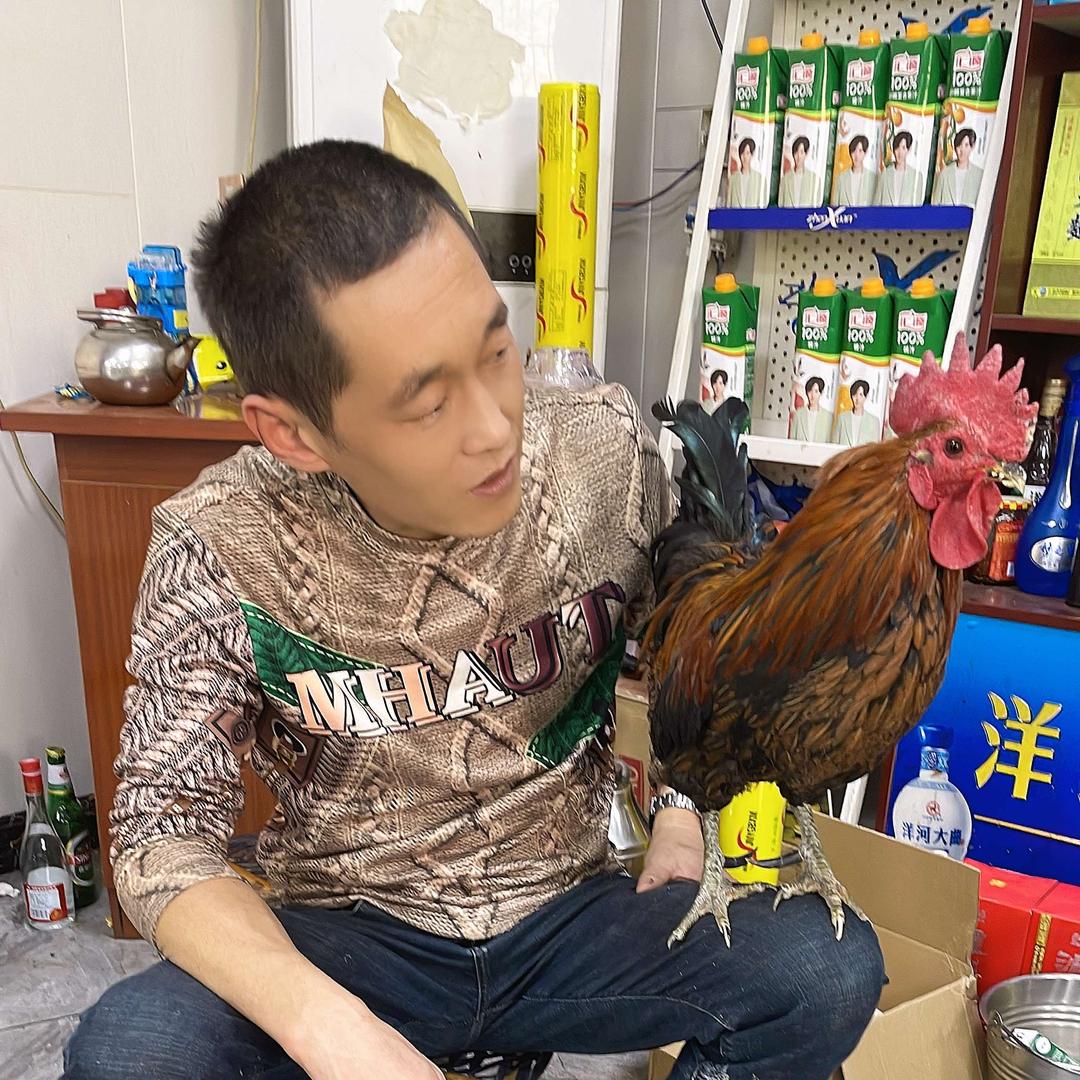 沂水武小二炒鸡(社会鸡)