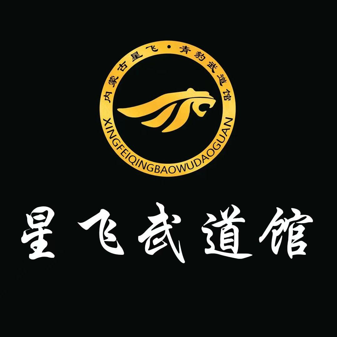 星飞跆拳道官方号