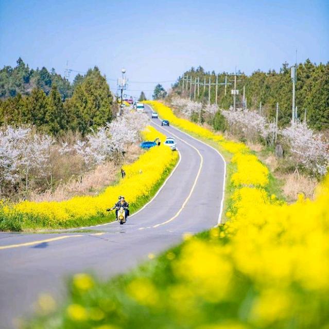 怡君欢欢百货号