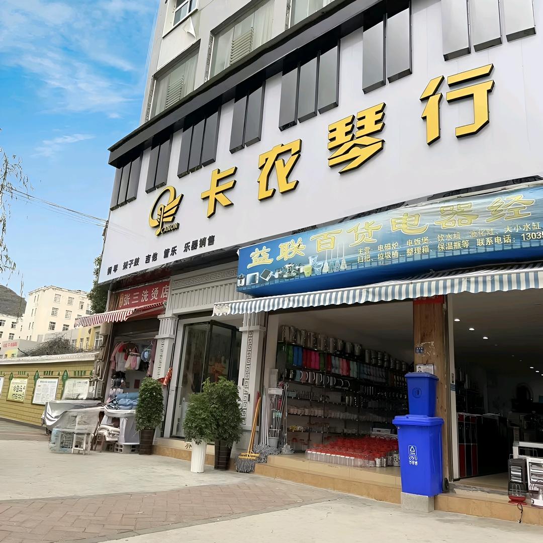 安龙卡农琴行