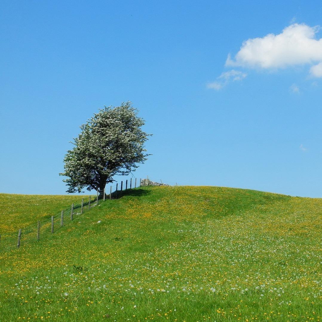 芝恺（广州）的ee直播号