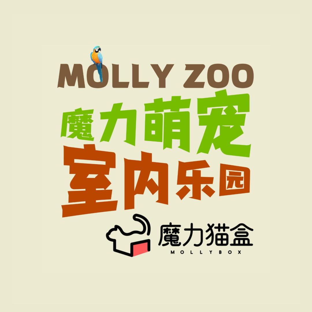 Molly zoo室内互动萌宠乐园