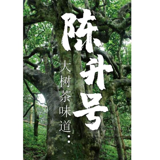 陈升号-怡仁茶府