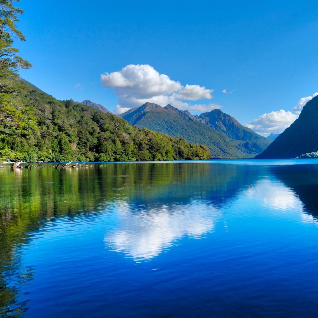 太阳城生活超市(义乌太阳城店)叽里咕噜直播号