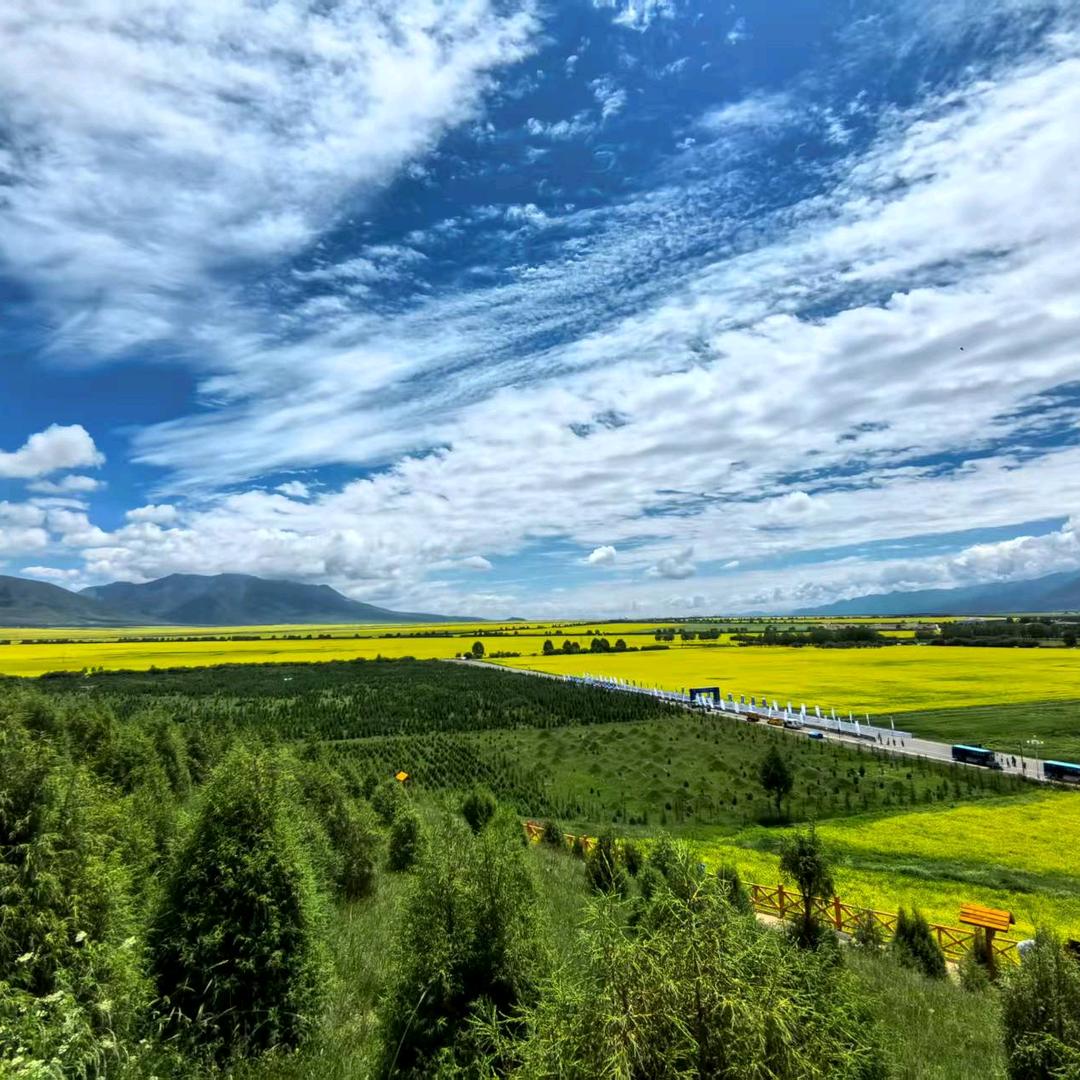 泰润灰直播啦呀