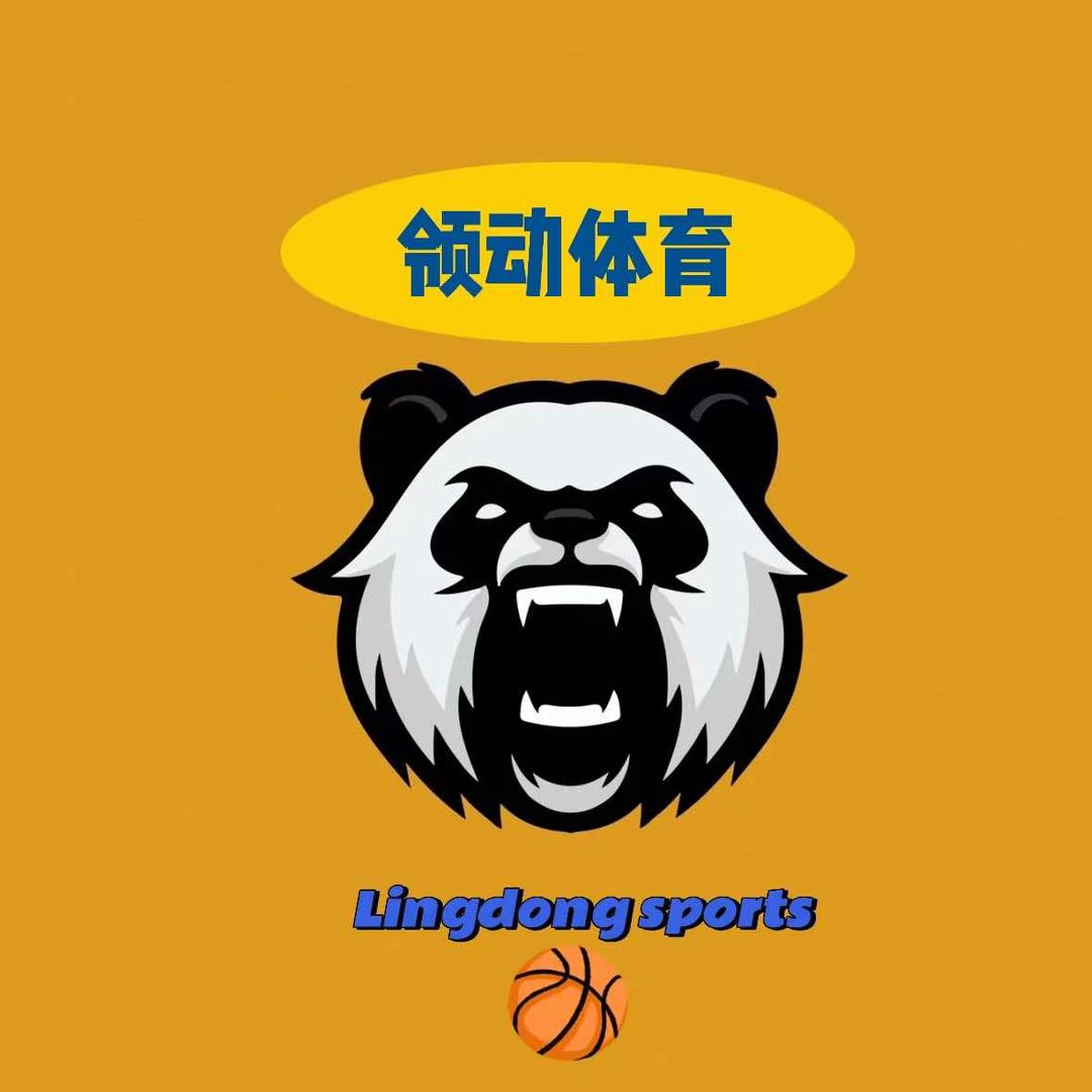 领动体育篮球培训