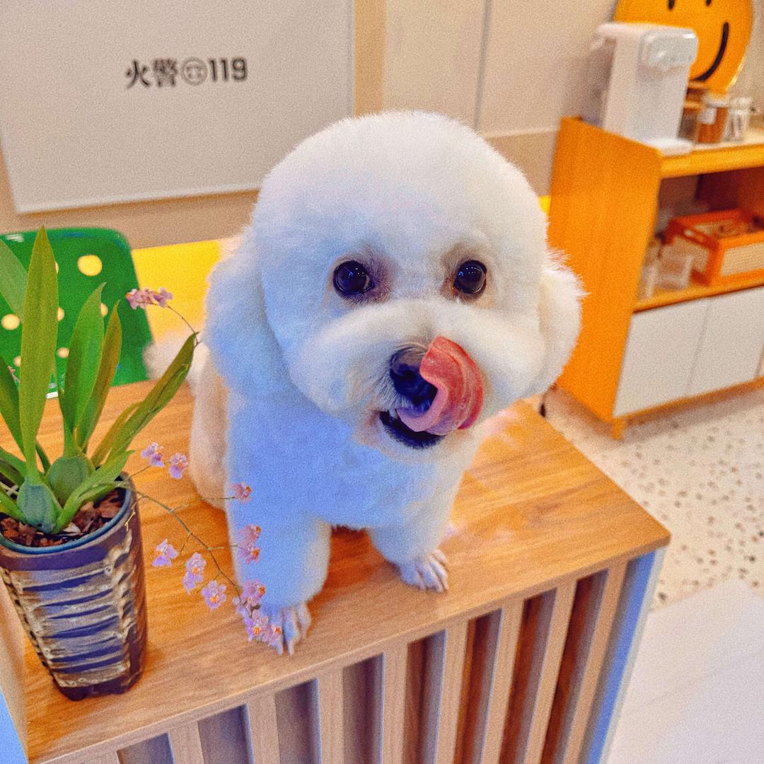 有它爱宠生活馆