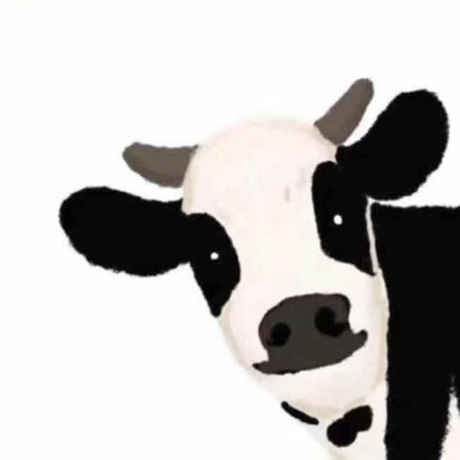 乐乐乐我直播号