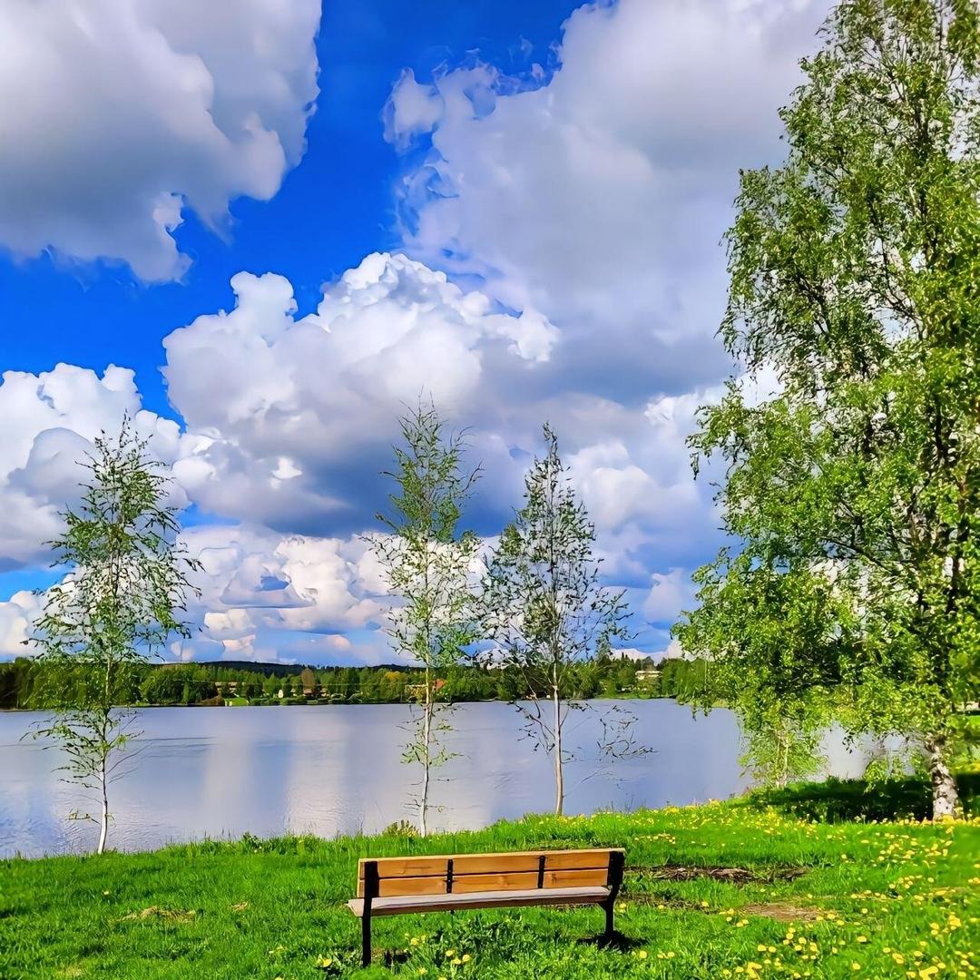 皆唤模可以经营号